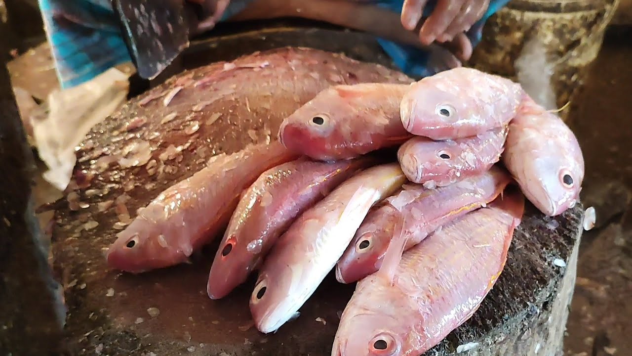Super Fast Red Popa Fish Cleaning & Cutting In Fish Market | Fish Cutting Expert