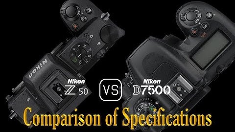 Nikon Z50 vs. Nikon D7500: A Comparison of Specifications