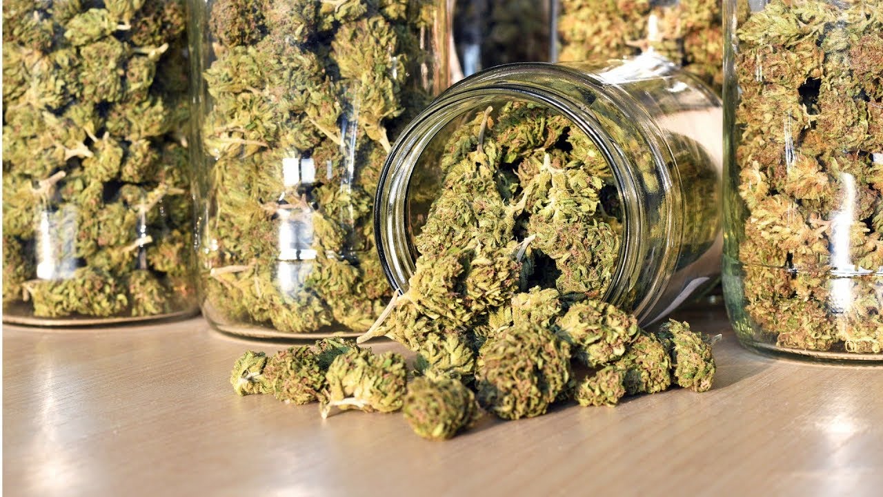 How to Play the Fast-Emerging Cannabis Industry