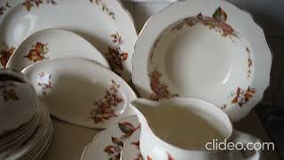 33 Pieces Royal Doulton China Wilton pattern D6226