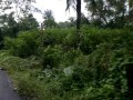 Pekan Jemima, Port Dickson 1.7638 Acres