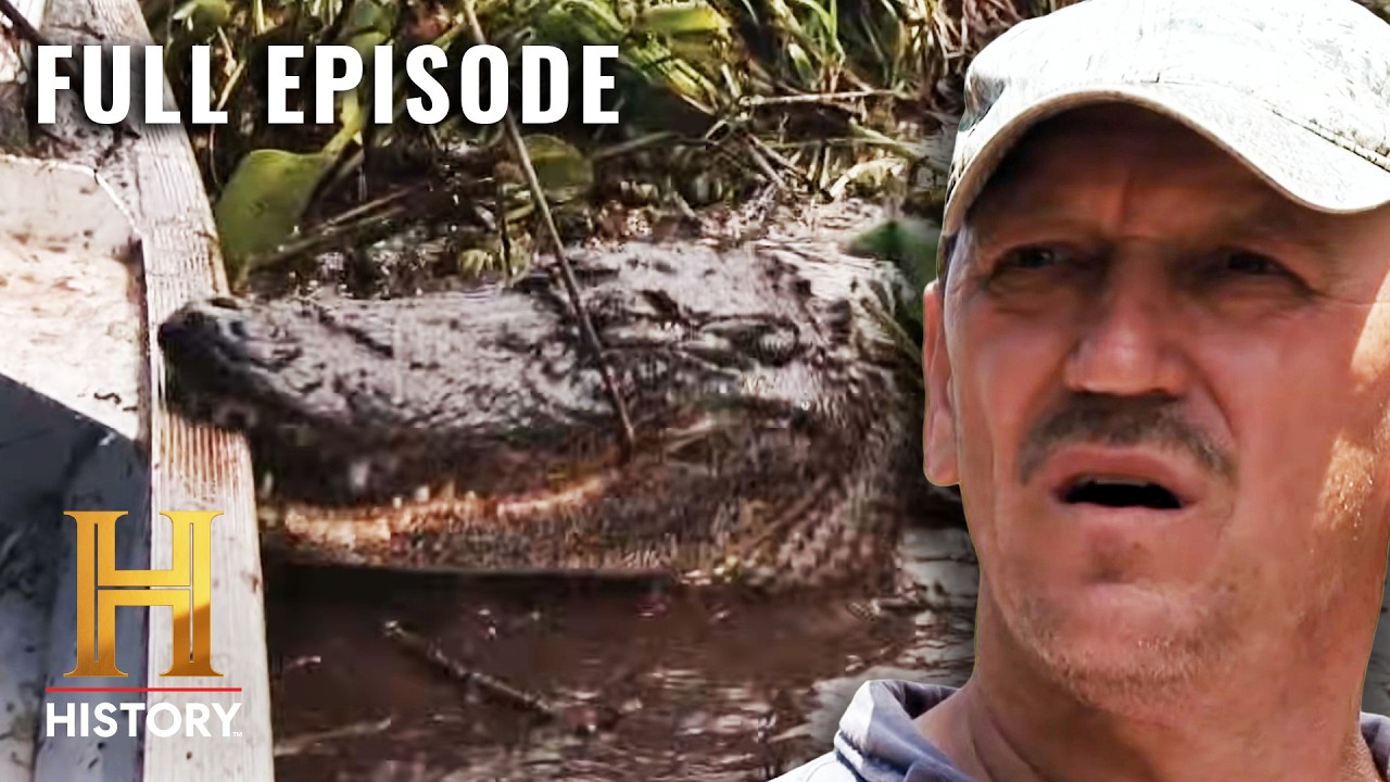 No Surrender (S4, E8) | Swamp People | Full Episode
