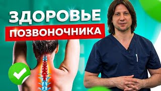 Опорно-двигательная система. 10 важных основ поддержания здоровья позвоночника.