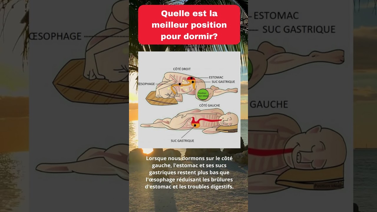 Quelle est la meilleurs positions pour dormir?