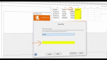 Labeljoy 6 - How to set number of labels from data source file