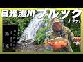 渇水の湯川で、一匹を探す。