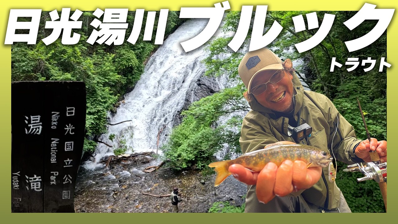 渇水の湯川で、一匹を探す。