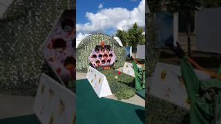 COVID Angry Birds