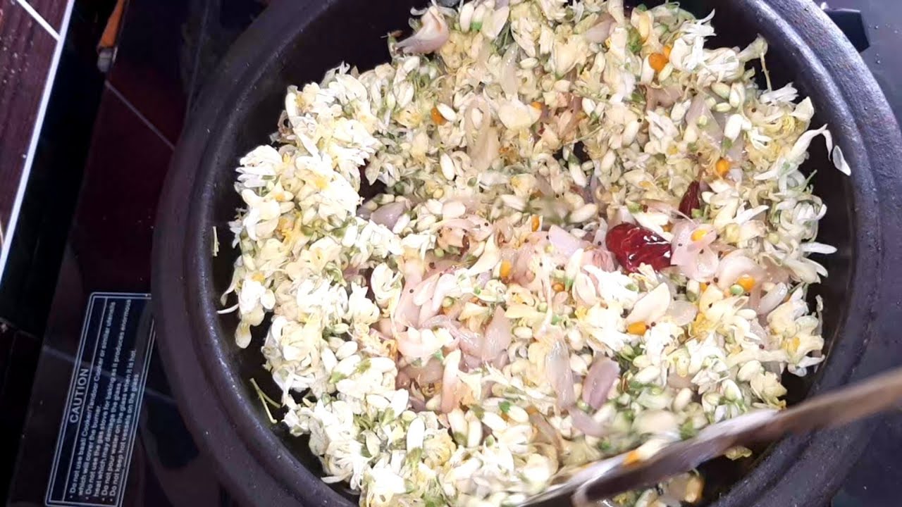 Drumstick flower health benefits in Tamil Drumstick flower recipes