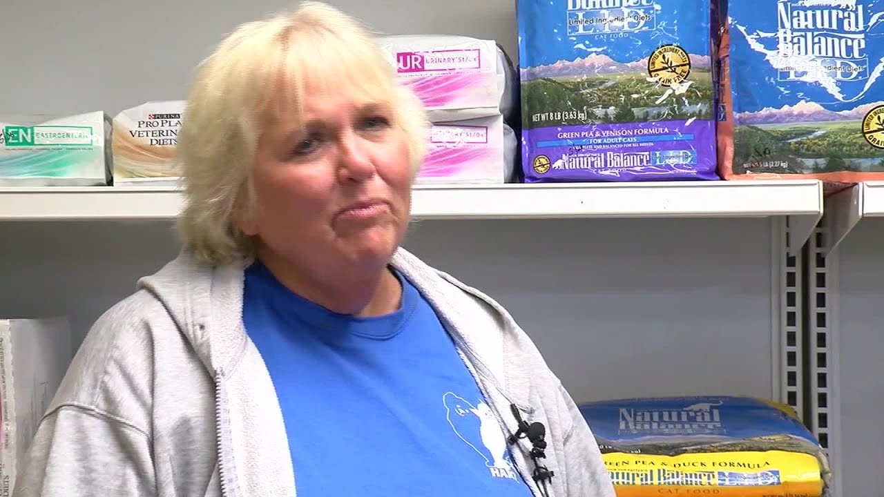 Police say dog with cut throat, ducttaped muzzle was a hoax by owner