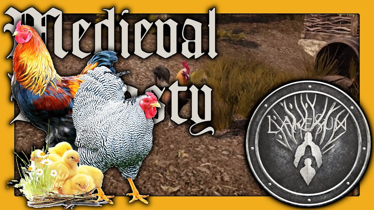 Die ersten HÜHNER und ein STALL 51 MEDIEVAL DYNASTY YouTube