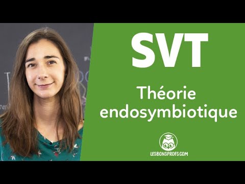 Vidéo: Quelles sont les preuves de la théorie de l'endosymbiose?