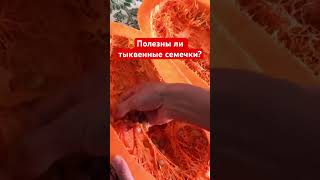 Полезны ли семена тыквы? #тыква #семенатыквы #пользатыквы