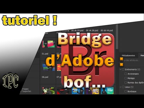 Vidéo: Comment obtenir Adobe Bridge ?