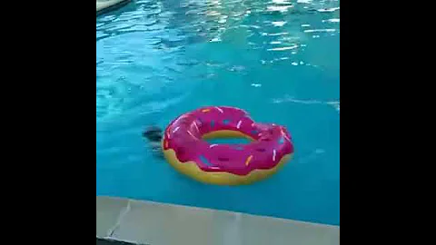 Swim 1