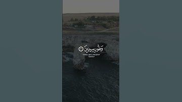 سوره التين | #عبدالباسط_عبدالصمد #راحة_نفسية #quran #قران_كريم #مصر