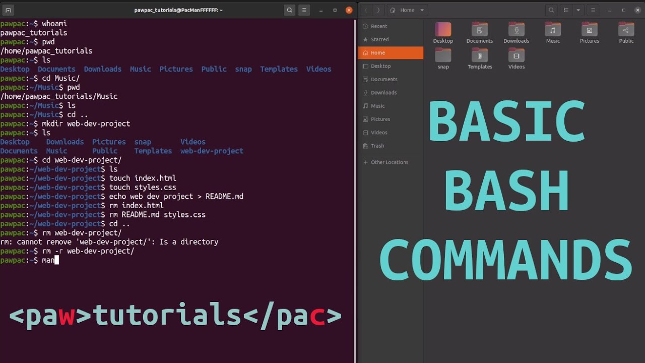 Basic Bash Commands | first step for an aspiring web developer! - YouTube