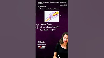 3 MARK QUESTION ഉറപ്പായും വരും #sslcexam #biology