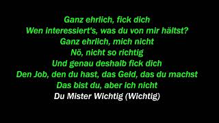 Swiss &amp; Die Andern - Fick Dich Karaoke Version