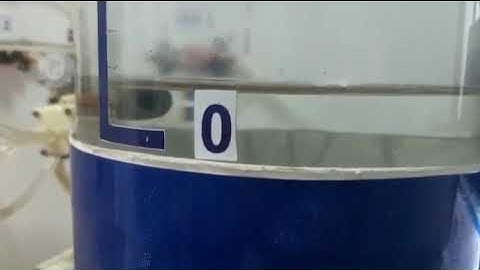 [2023-05-09] Node Red điều khiển PID bồn nước - MongoDB chart