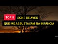 TOP 5: SONS DE AVES QUE ME ASSUSTAVAM NA INFÂNCIA...