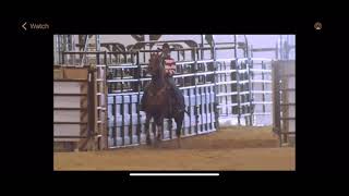 Della Get Your Gun 1st go JWF 2023