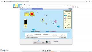 Utilizzo della simulazione Phet  Macchina del Gene Operone lac screenshot 1
