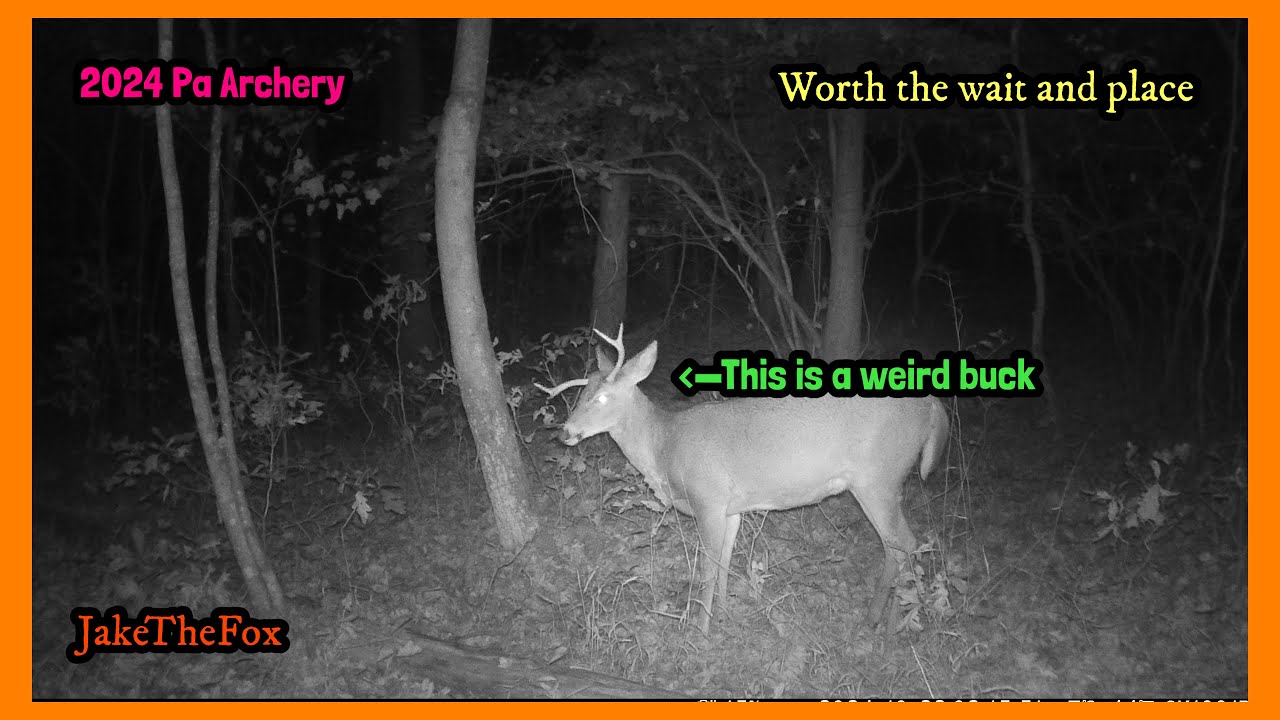 Pa Archery, It’s Worth The Right Place And Time!