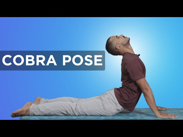 Yoga for Back Pain: How to do Bhujangasana, Cobra Pose for Beginners |  Watch | Health News, Times Now