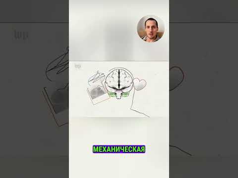 Социальные сети и спорт #спорт #соцсети #эффективность #sports #socialmedia #efficiency