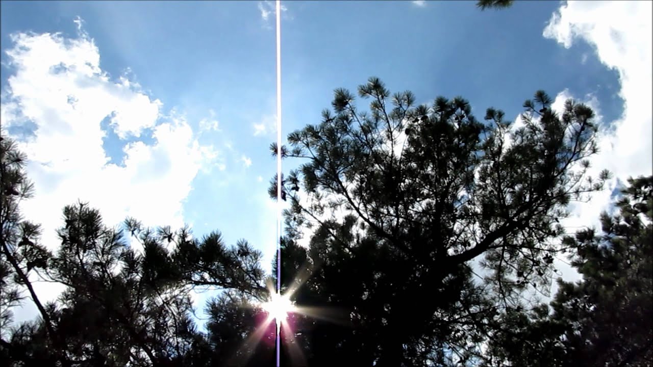 thelope.com - T. figuratus cicada calls