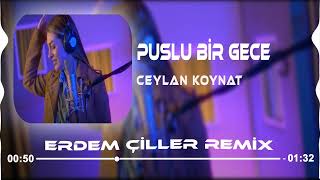 Ceylan Koynat - Puslu Bir Gece ( Erdem Çiller Remix ) #ceylankoynat #puslubirgece #remix