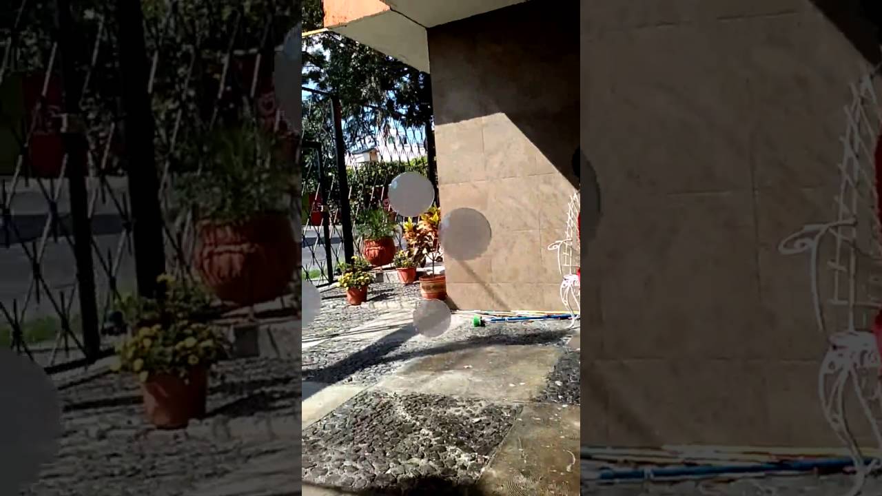 Testing Rick's Alternative Detergent (RAD)