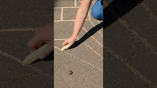 Endless Fun With Sidewalk Chalk Art Outdoor Creativity For Kids