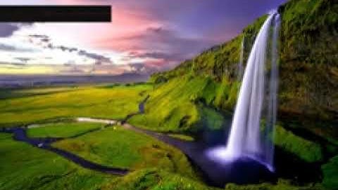 Artistspercussionist Interlude gbvhnujsxh