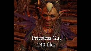 Baldur's Gate 3 Voice Lines: Priestess Gut, Dror Ragzlin, Kith'rak Voss and Anders