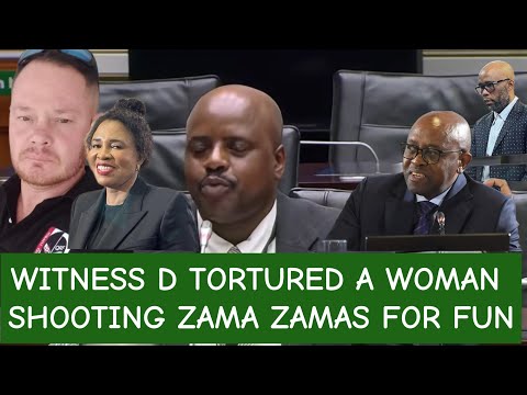 J MKWANAZI BLUELIGHTS BLESSER IPID AND CITY INVESTIGATIONS WITNESS D SHOT ZAMA ZAMAS 