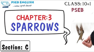 Class: 11| Sec.C| Ch.3 Sparrows by K.A.Abbas| Explained in Hindi/Punjabi| By: Swayam Ahuja