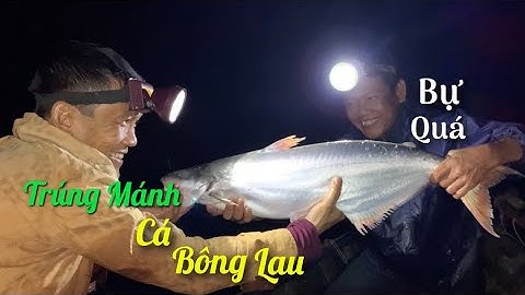 Một đêm đầy mai mắn của Ngư Dân Sóc Trăng khi trúng mánh cá BÔNG LAU bự | Cù Lao Dung Vlogs #179