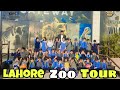 Lahore Zoo Adventure|Play Group to Grade One Discover Wildlife|KIPS School Kot Radha Kishan.
