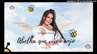 Calcinha Preta - Abelha Que Virou Anjo