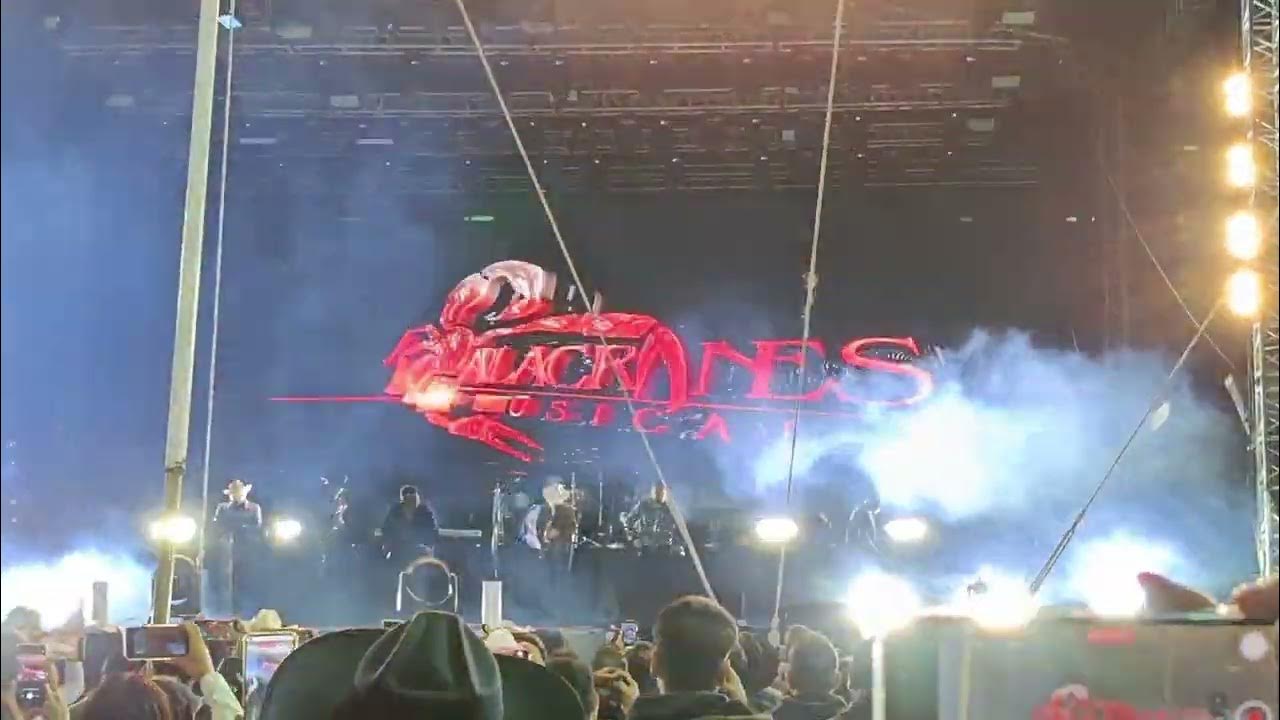 Ya wey.No me digas wey.Por qué?POR QUE ME GUSTAS WEY! Si te vuelves a enamorar Alacranes Musical2025 Ya wey.No me digas wey.Por qué?POR QUE ME GUSTAS WEY! Si te vuelves a enamorar Alacranes Musical2025