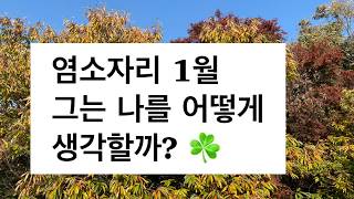 [타로연애] 염소자리 1월 “그녀는 나를(그는 나를) 어떻게 생각할까? 염소자리의 책임감 능력을 눈여겨 보는…