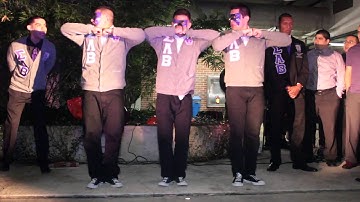 Upsilon Line Probate [Zeta Beta Chapter - Sigma Lambda Beta]