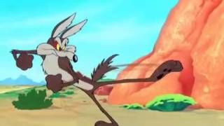 Wile E. Coyote Runs into Wall