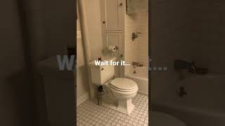 The One Time You Forget To Look At The Toilet Water Before You Sit Down