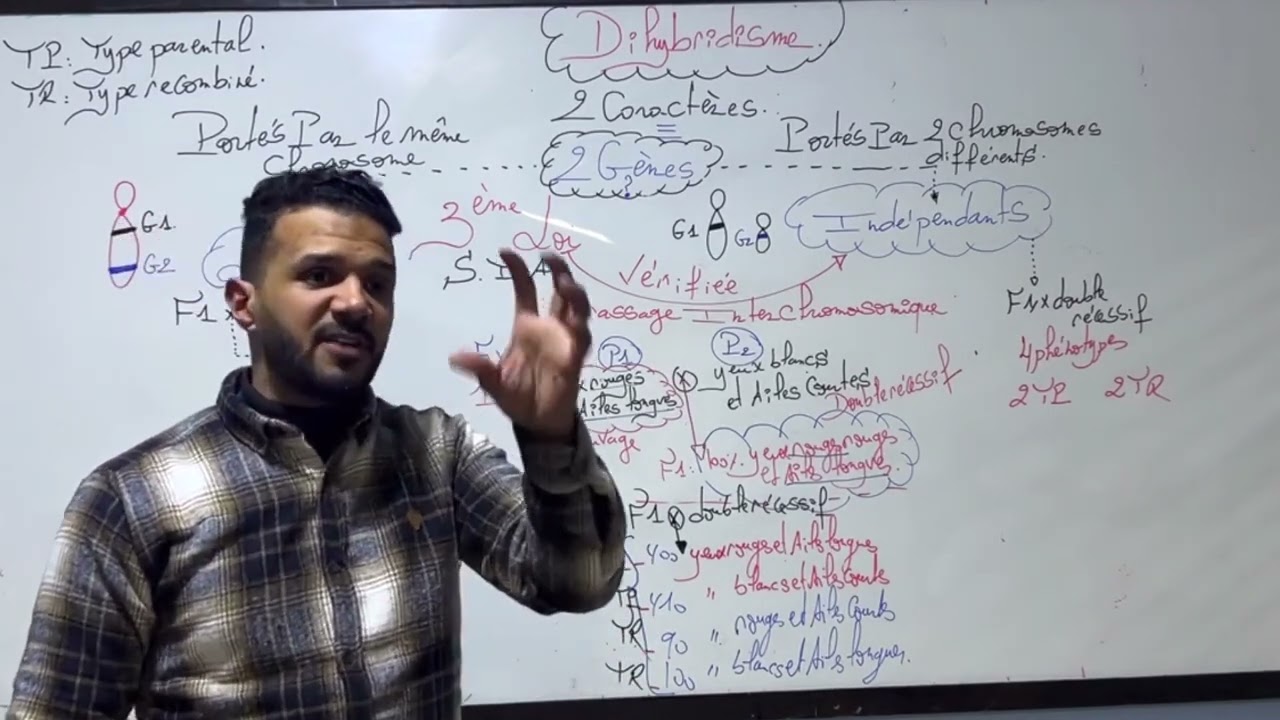 La génétique mendélienne partie 3 Dihybridisme cours complet