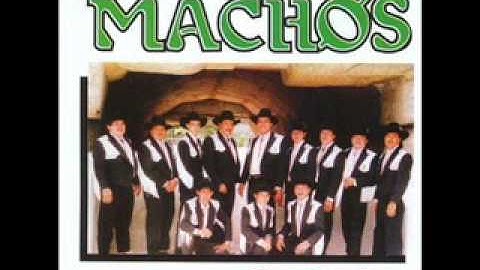 Banda Machos-La Cosita