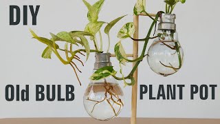 DIY  Bulb Vase From Old Bulbs | Hydroponics Plants | Wooden Stand