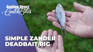 How To Tie A Simple Zander Deadbait Rig – Predator Fishing Quickbite